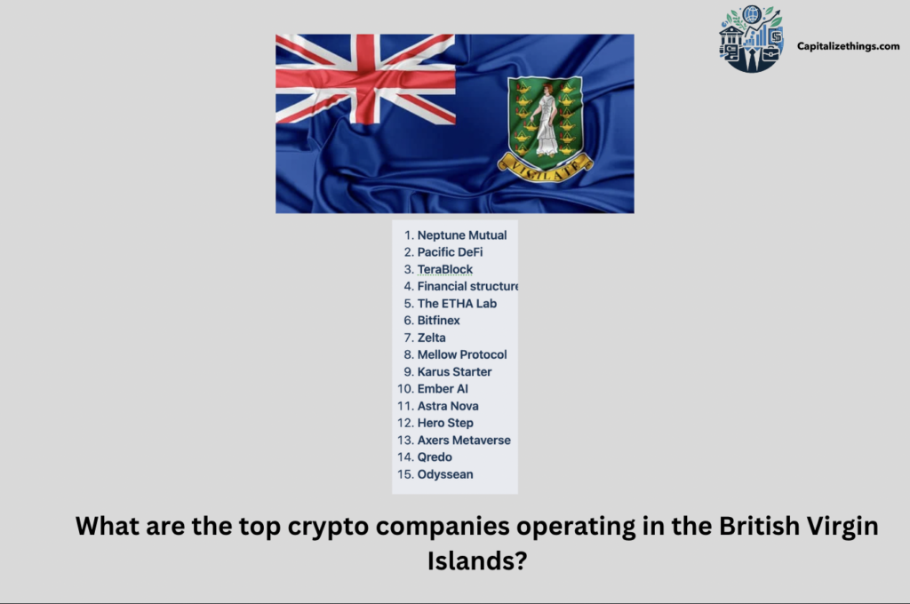 british virgin islands top crypto operations companies