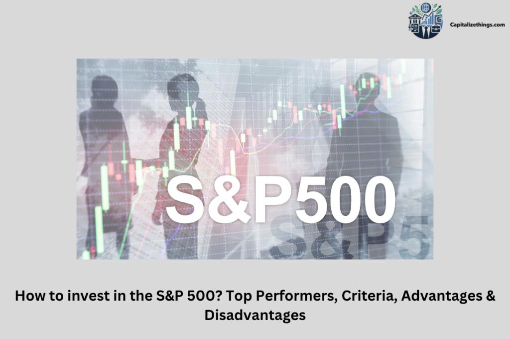 S&P 500 investment criteria with pros and cons